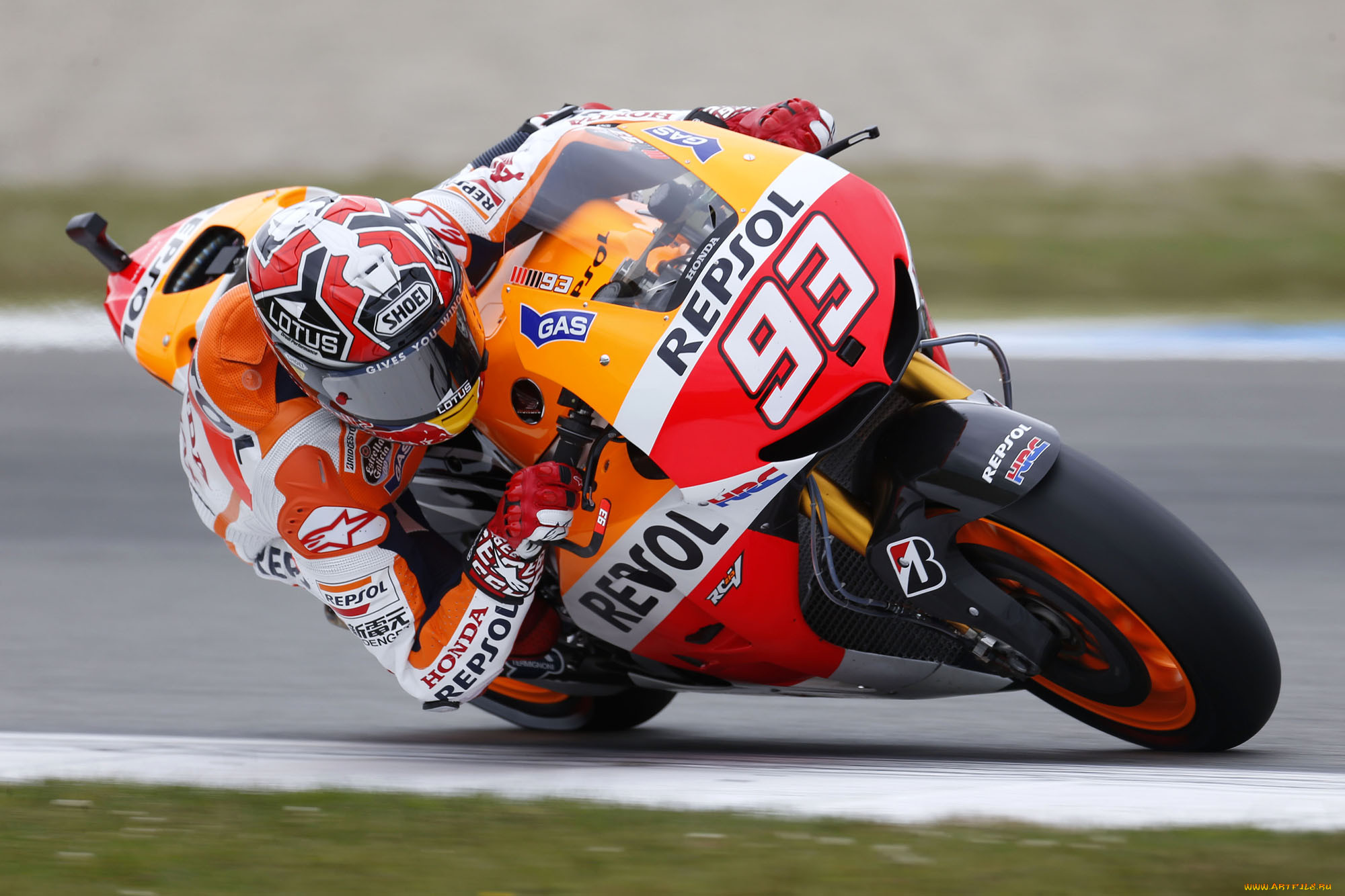 , , motogp, 2013